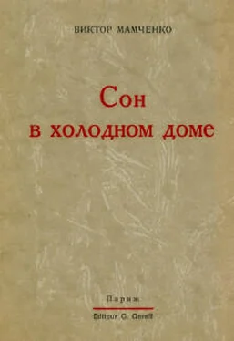 Виктор Мамченко Сон в холодном доме обложка книги