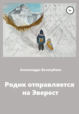 Александра Белогубова Родик отправляется на Эверест обложка книги