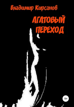 Владимир Кирсанов Агатовый Переход обложка книги