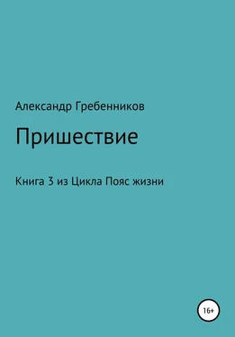 Александр Гребенников Пришествие. Книга 3 из цикла «Пояс жизни» обложка книги