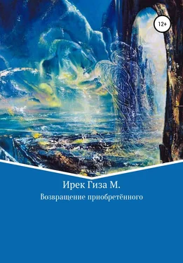 Ирек Гиза Махди Возвращение приобретенного обложка книги