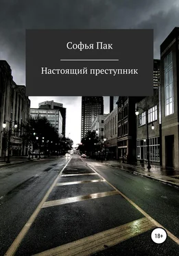 Софья Пак Настоящий преступник обложка книги