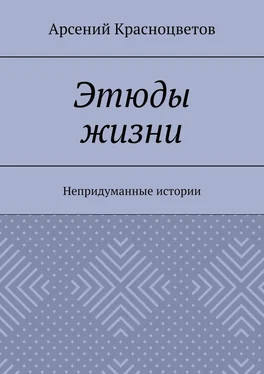 Арсений Красноцветов Этюды жизни. Непридуманные истории обложка книги