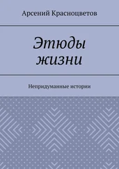 Арсений Красноцветов - Этюды жизни. Непридуманные истории