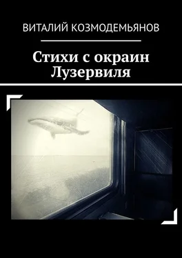 Виталий Козмодемьянов Стихи с окраин Лузервиля обложка книги