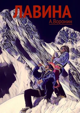 Андрей Воронин Лавина. Опасные приключения обложка книги