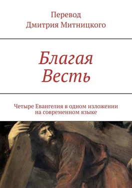 Дмитрий Митницкий Благая Весть. Четыре Евангелия в одном изложении на современном языке обложка книги