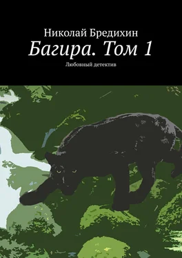 Николай Бредихин Багира. Том 1. Любовный детектив обложка книги