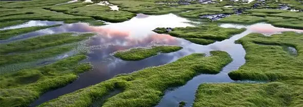 Саргассово море Волны лениво перекатывались через полузатопленные острова таща - фото 1