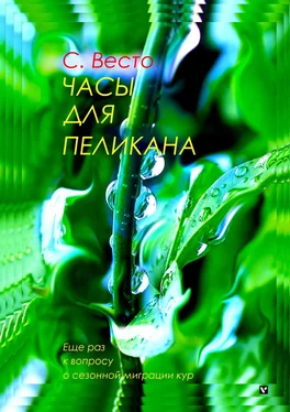 Сен Сейно Весто Часы для пеликана. Еще раз к вопросу о сезонной миграции кур обложка книги