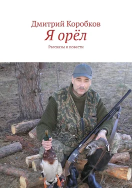 Дмитрий Коробков Я орёл. Рассказы и повести обложка книги