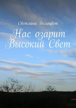 Светлана Белоцвет Нас озарит Высокий Свет обложка книги