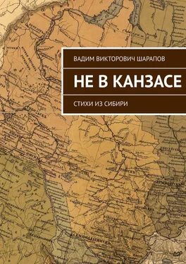 Вадим Шарапов Не в Канзасе. Стихи из Сибири обложка книги