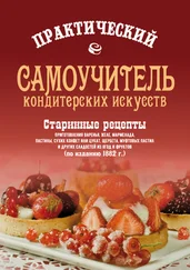 Сборник - Практический самоучитель кондитерских искусств. Старинные рецепты приготовления варенья, желе, мармелада, сухих конфет или цукат, щербета, муфтовых пастил и других сладостей из ягод и фруктов