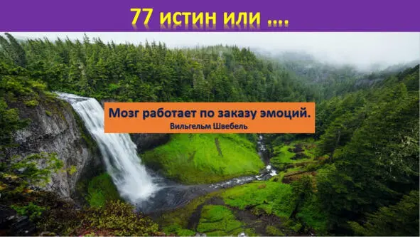 Вы никогда не научитесь не достигните или не создадите ничего ценного - фото 13