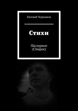 Евгений Чернышов Стихи. Пасмурное (Старое) обложка книги