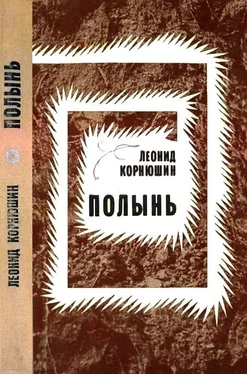 Леонид Корнюшин Полынь обложка книги