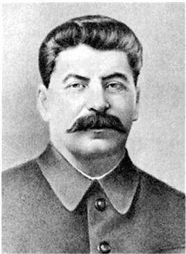 Верховный Главнокомандующий ИВ Сталин Главнокомандующий Западным - фото 1