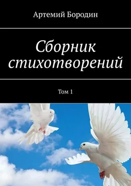 Артемий Бородин Сборник стихотворений. Том 1 обложка книги