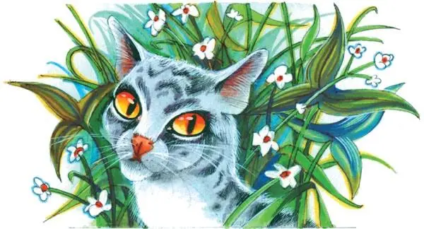 Эй кто это тут Домашние коты то есть котята На Совете племен А они с - фото 65