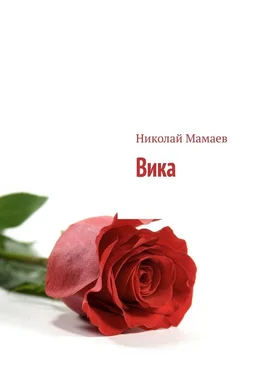 Николай Мамаев Вика обложка книги