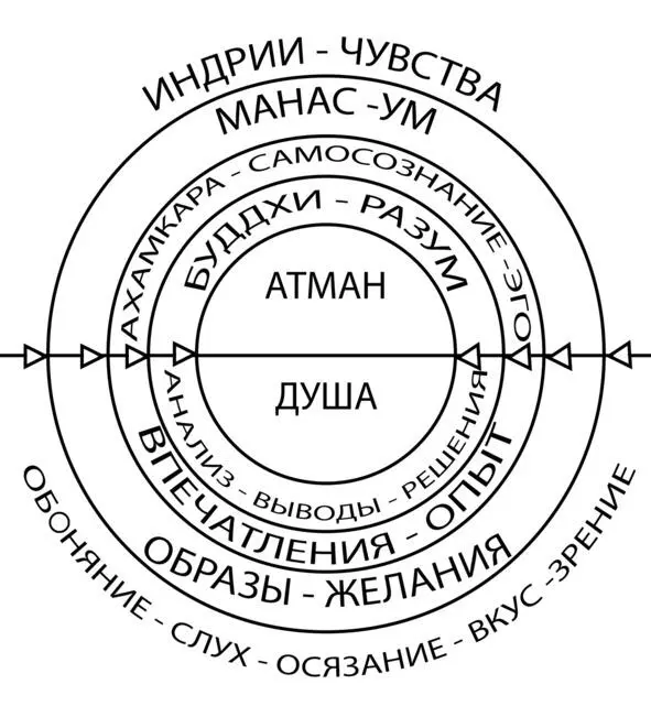 Направления йоги Существует множество направлений и стилей йоги Айенгарйога - фото 3