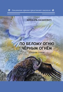 Михаэль Казакевич По белому огню чёрным огнём обложка книги