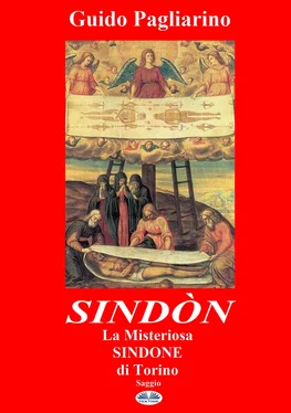 Guido Pagliarino Sindòn La Misteriosa Sindone Di Torino обложка книги
