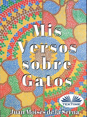 Juan Moisés De La Serna Mis Versos Sobre Gatos обложка книги