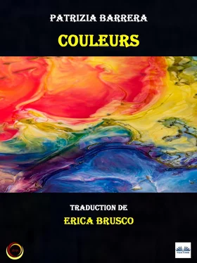 Patrizia Barrera Couleurs обложка книги