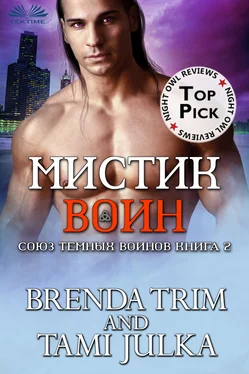 Brenda Trim Мистик Воин обложка книги