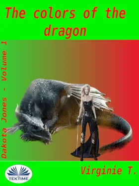 Virginie T. The Colors Of The Dragon обложка книги