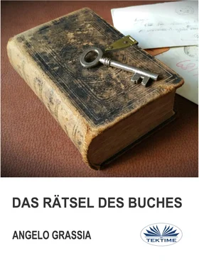 Angelo Grassia Das Rätsel Des Buches обложка книги