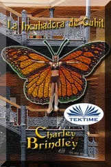 Charley Brindley - La Incubadora De Qubit