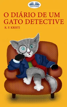 R. F. Kristi O Diário De Um Gato Detective обложка книги