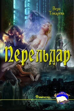 Вера Токарева Перельдар обложка книги