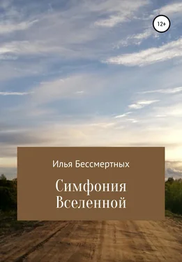 Илья Бессмертных Симфония Вселенной обложка книги
