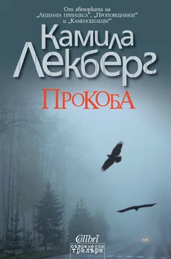 Камила Лекберг Прокоба обложка книги