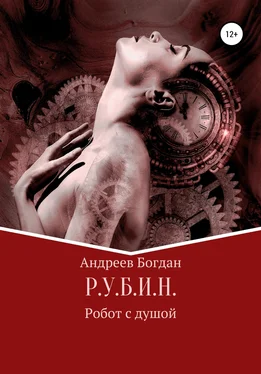Богдан Андреев Р.У.Б.И.Н. обложка книги