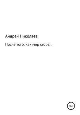 Андрей Николаев После того, как мир сгорел обложка книги