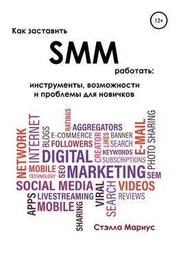 Стэлла Мариус Как заставить SMM работать: инструменты, возможности и проблемы для новичков обложка книги