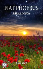 Алёна Порох - FIAT PHOEBUS