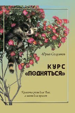 Юрий Селуянов Курс «Подняться» обложка книги