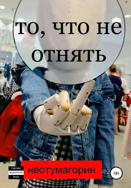 Стас Неотумагорин То, что не отнять обложка книги