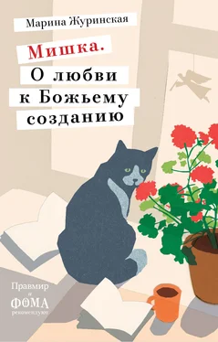 Марина Журинская Мишка. О любви к Божьему созданию обложка книги