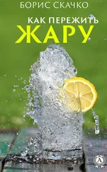Борис Скачко - Как пережить жару