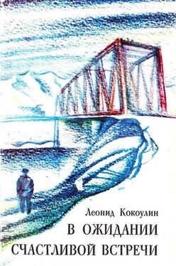 Леонид Кокоулин В ожидании счастливой встречи обложка книги