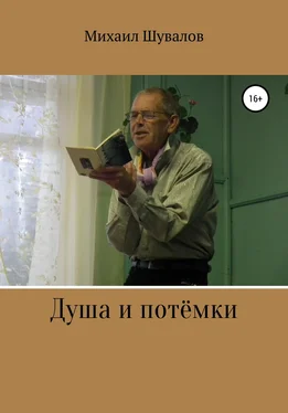 Михаил Шувалов Душа и потёмки обложка книги