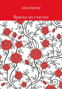 Анна Бурчик Ириска на счастье обложка книги