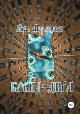 Муса Мураталиев Ковид-дыра обложка книги